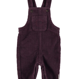 Peto baby aubergine