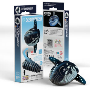Eugy Ocean Sunfish 3D