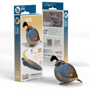 Eugy Quail 3D
