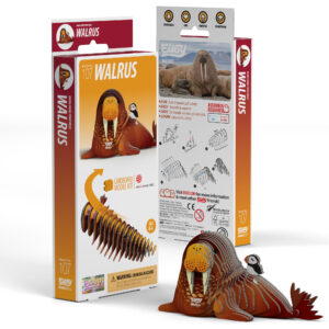 Eugy Walrus 3D