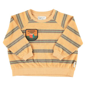 Sudadera terry cotton